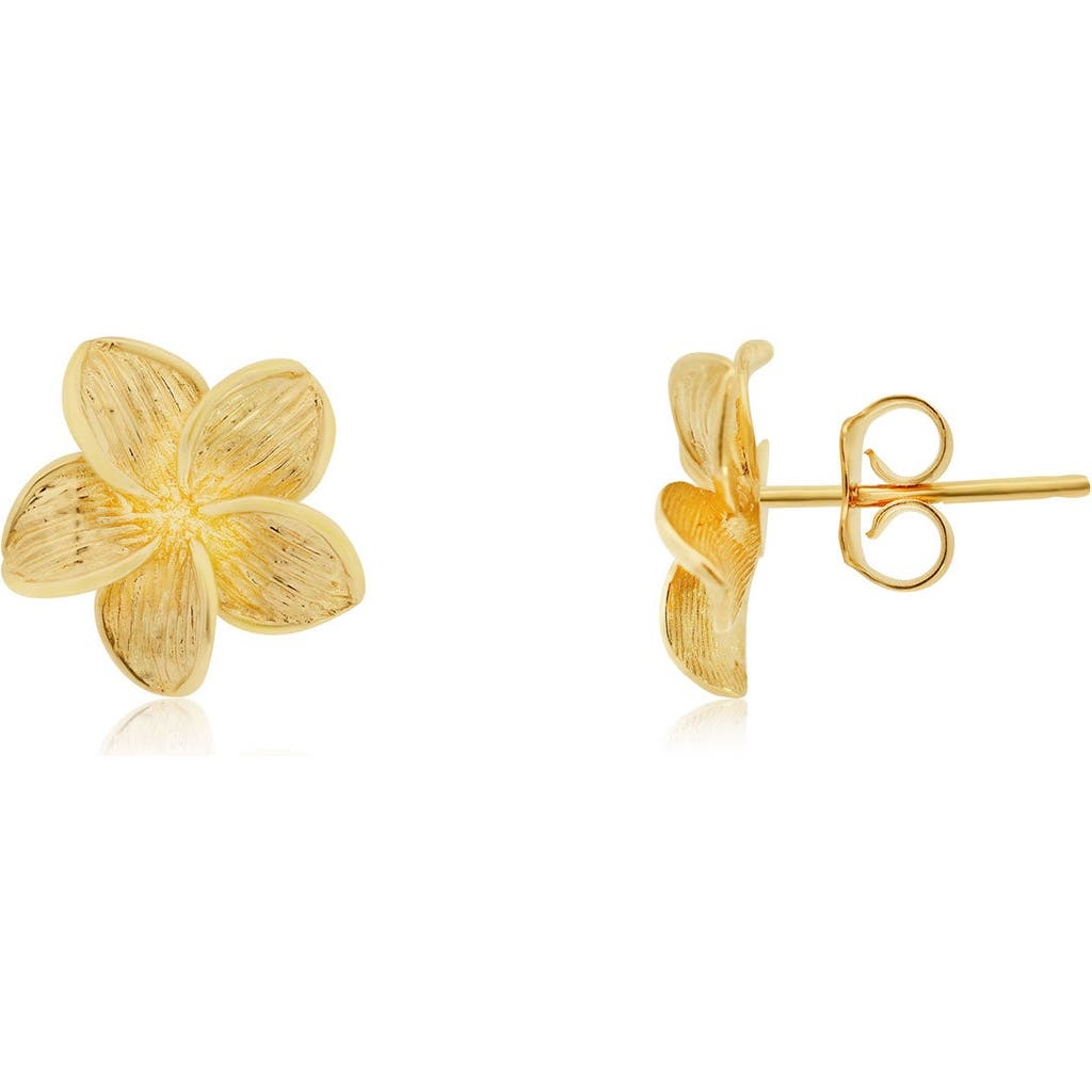 The Lovery Fine Jewelry Gold Tropical Flower Stud Earrings In Gold