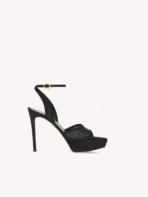 Dorotea Platform