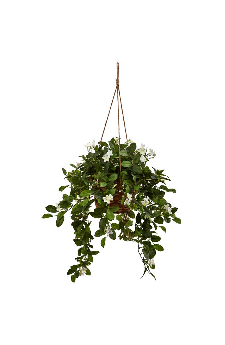NEARLY NATURAL Mixed Stephanotis Hanging Basket, Main, color, Green