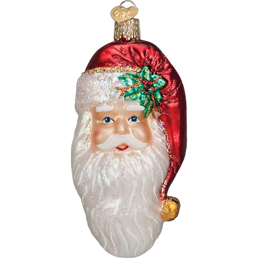 Old World Christmas Nostalgic Santa Glass Ornament In White