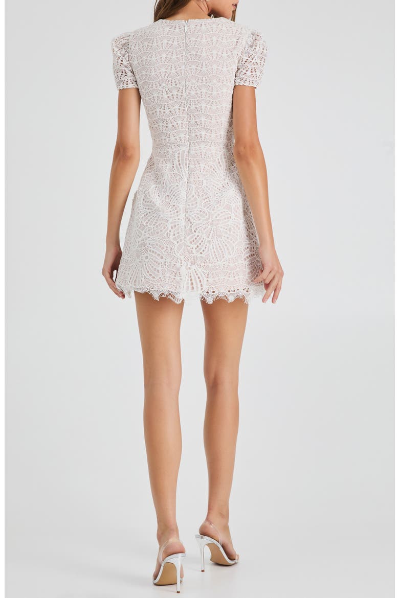 Daisy Floral Appliqué Lace Cocktail Minidress, Alternate, color, OFF WHITE