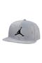  Wolf Gray