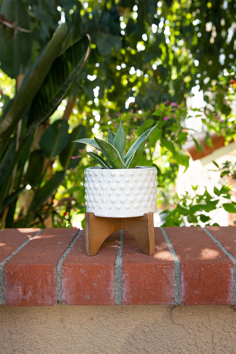 6"  Hobnail Ceramic Planter on Wood Stand, Alternate, color, WHITE