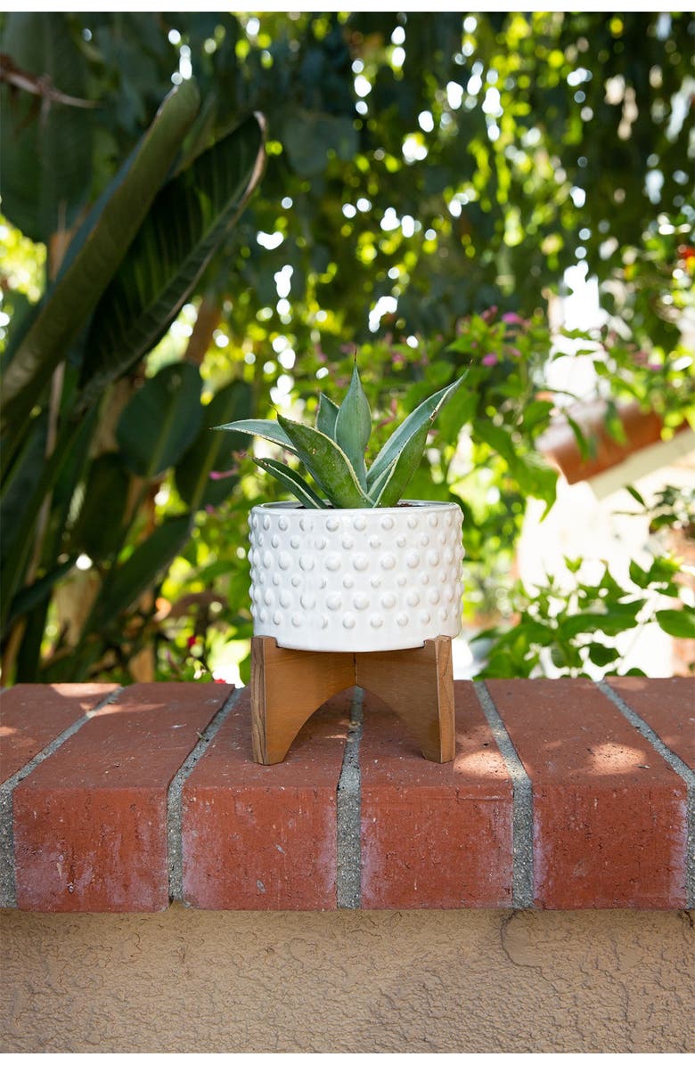 FLORA BUNDA 6" Hobnail Ceramic Planter on Wood Stand, Alternate, color, White