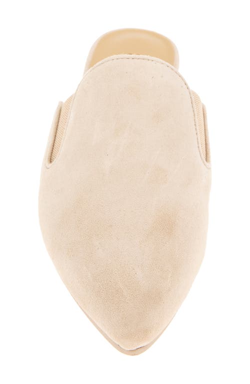 Splendid Liza Pointed Toe Mule In Brown