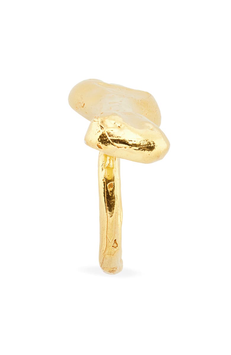 Alighieri The Bones of Rebirth Ring, Alternate, color,