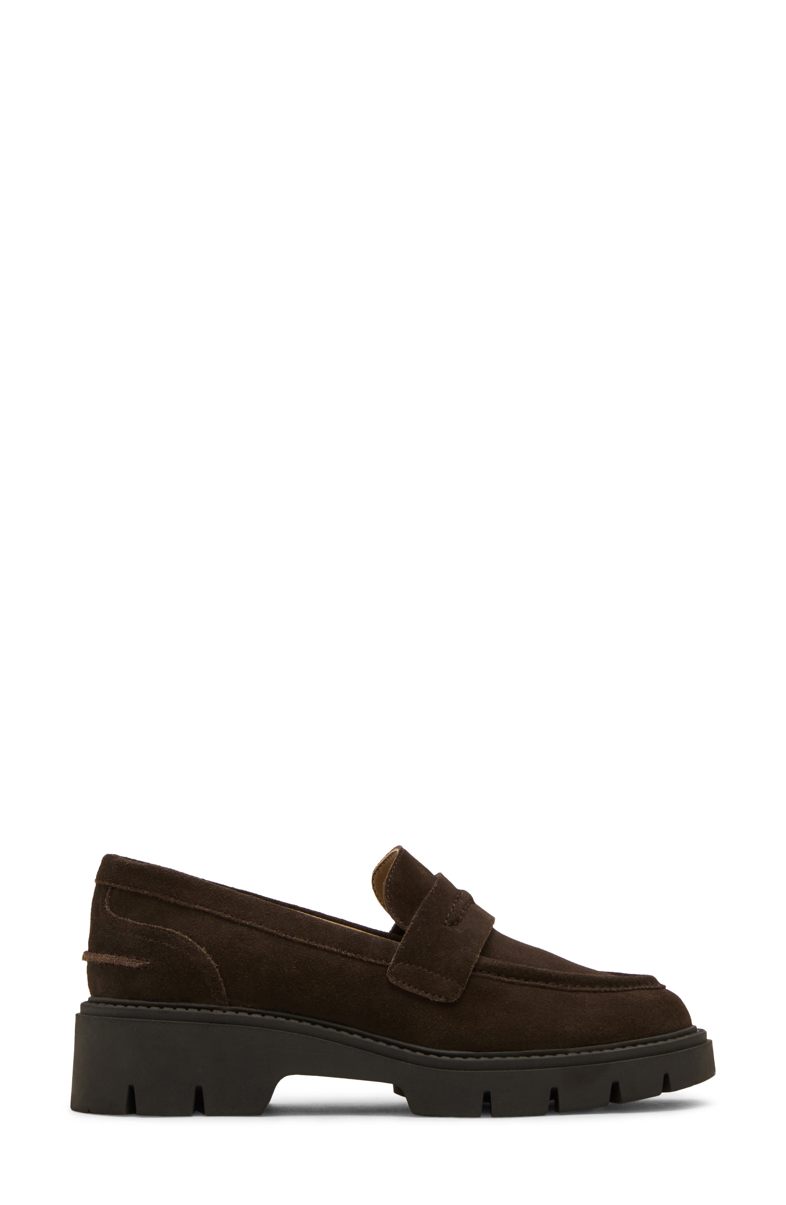 Kisha Waterproof Penny Loafer, Alternate, color, JAVA SUEDE