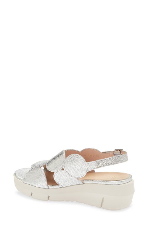 Wonders Platform Sandal In Max Plata