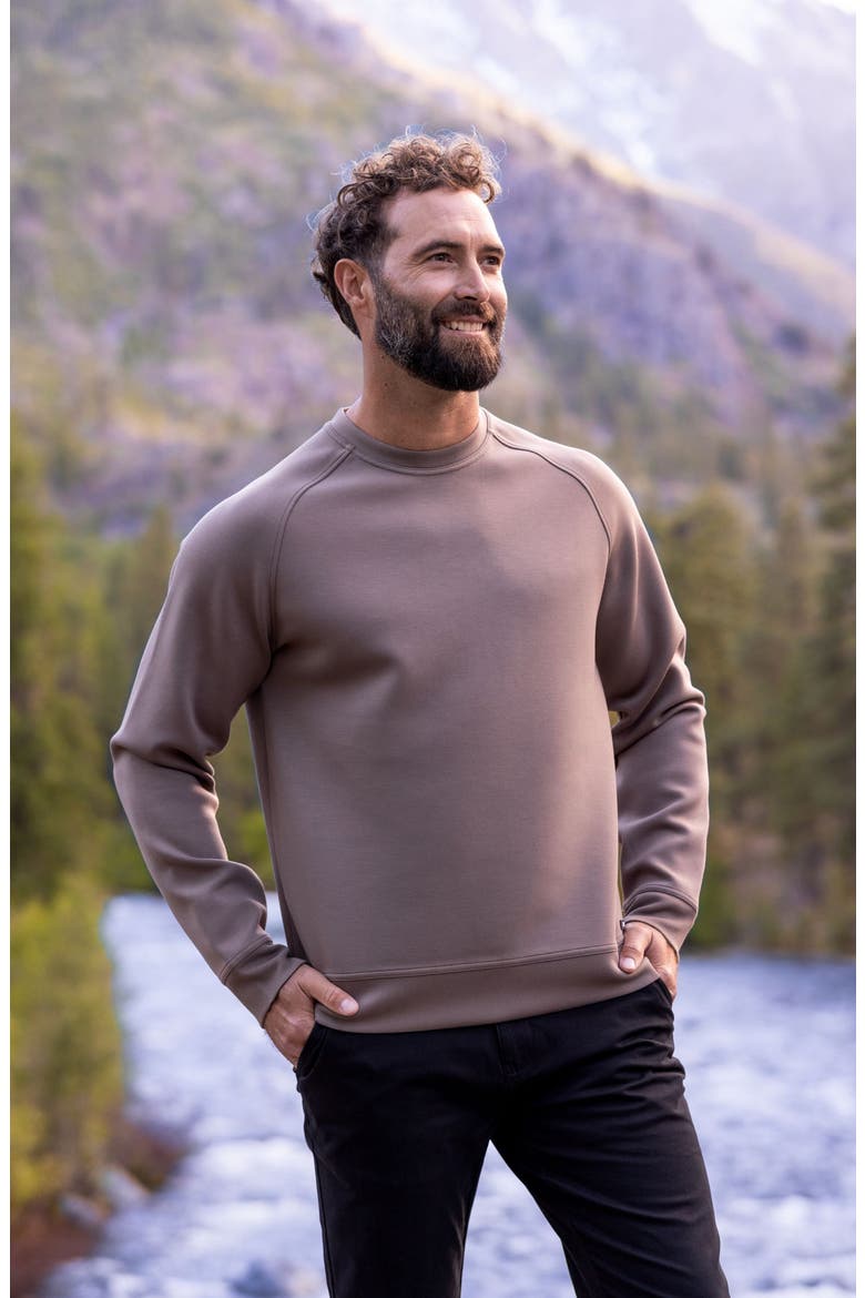 Roam Crewneck Pullover, Alternate, color, MUSHROOM