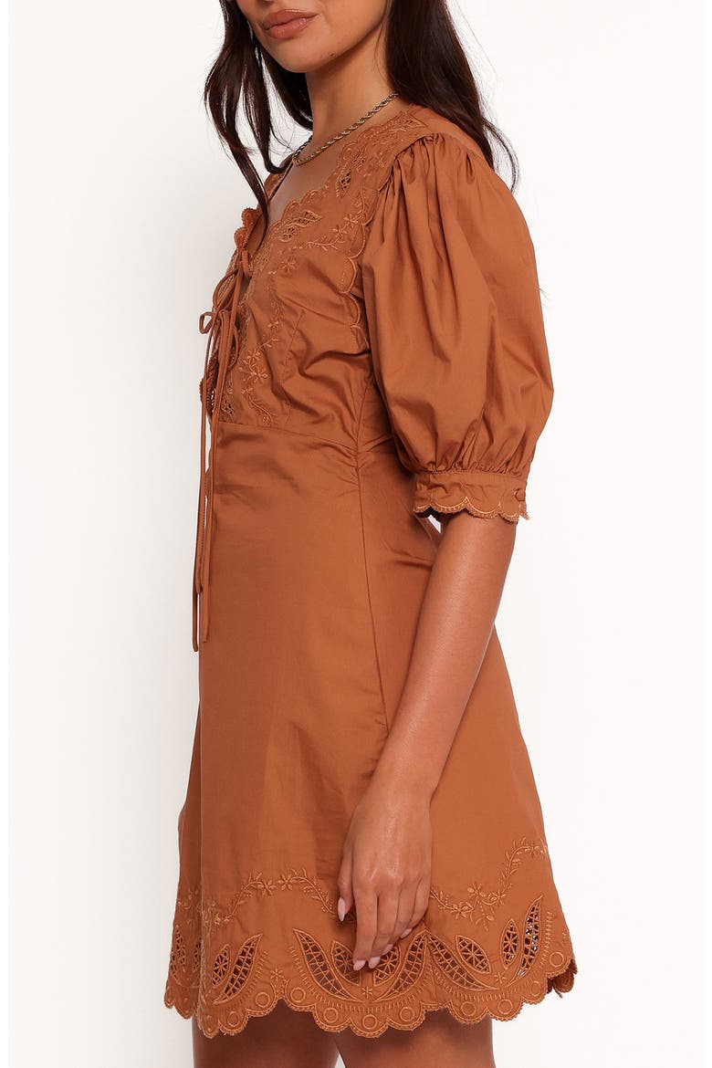 Rhodes Embroidered Puff Sleeve Minidress, Alternate, color, BROWN