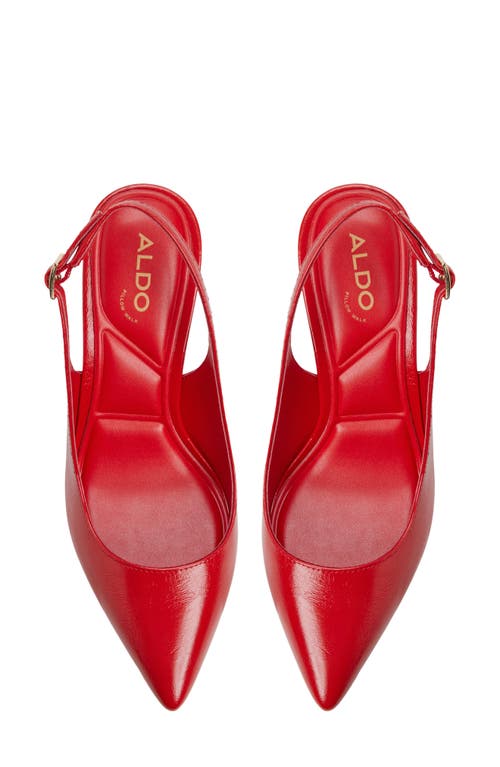 ALDO ALDO LALA SLINGBACK POINTED TOE PUMP 