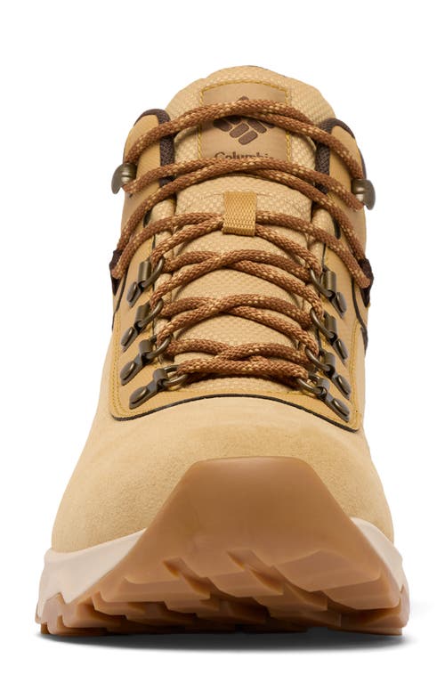 Columbia Newton Wander™ Waterproof Hiking Boot In Brown