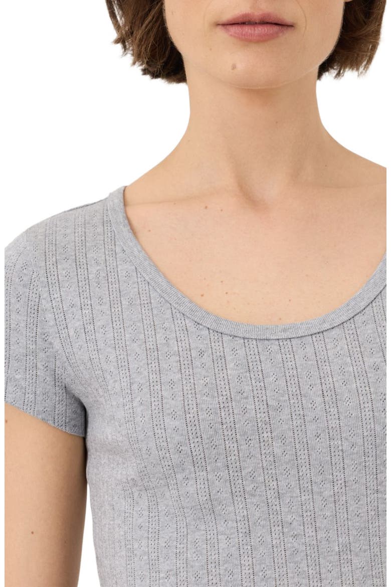 Organic Cotton Pointelle Scoop Neck Tee, Alternate, color, Heather Grey