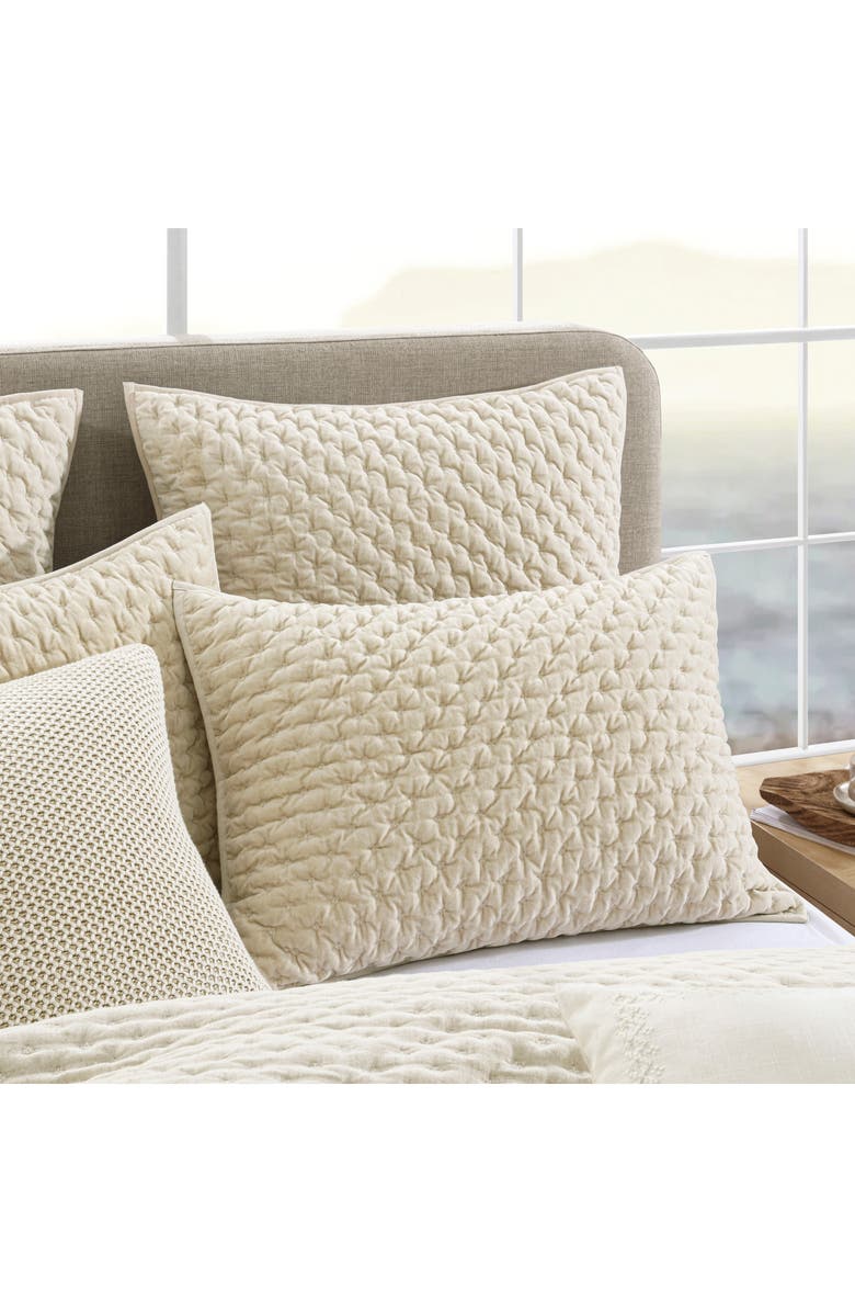 DKNY Pure Velvet Quilt & Shams Set, Alternate, color, Cream