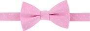 Trafalgar Churchill Chambray Polka Dot Linen Blend Bow Tie