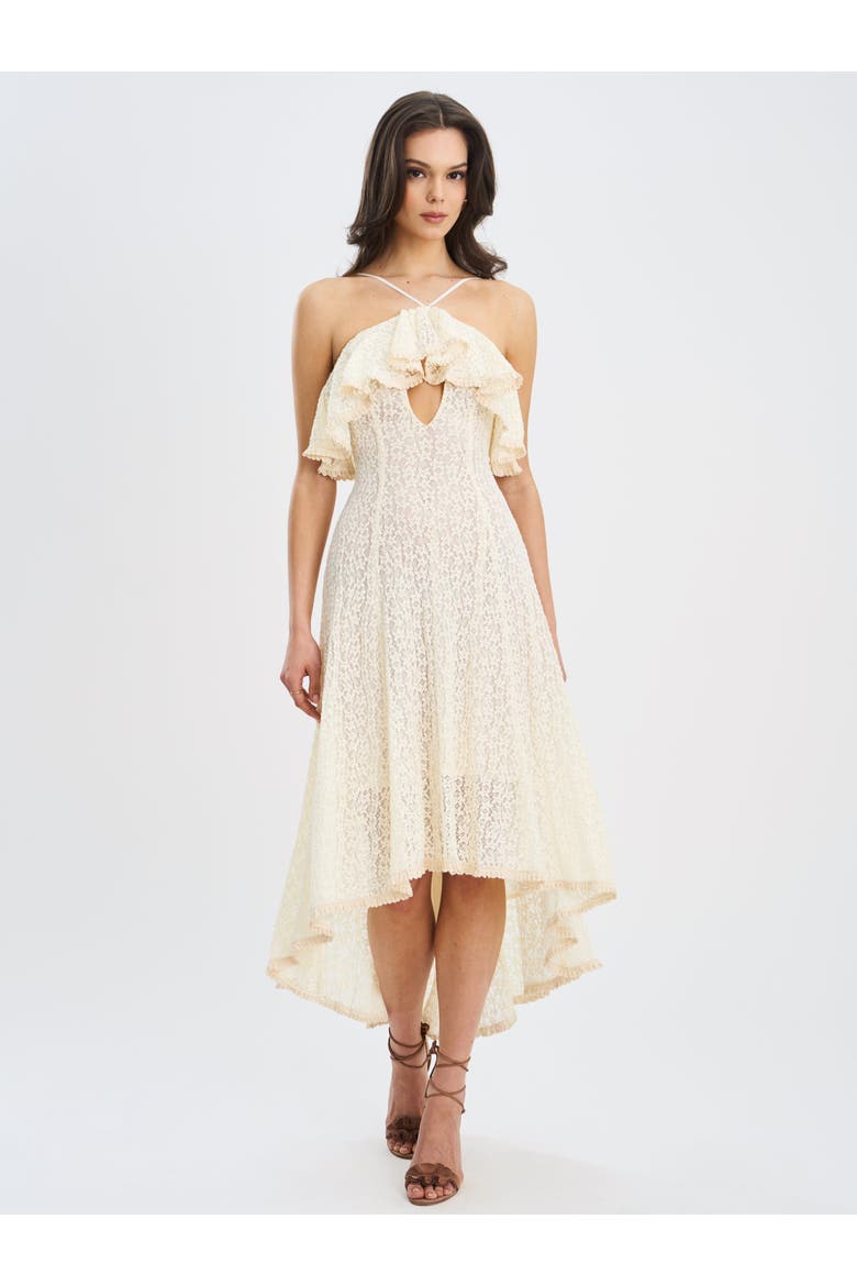 Idra Lace Trim Sleeveless Crochet Midi Trailing Dress, Main, color, Soft beige floral crochet