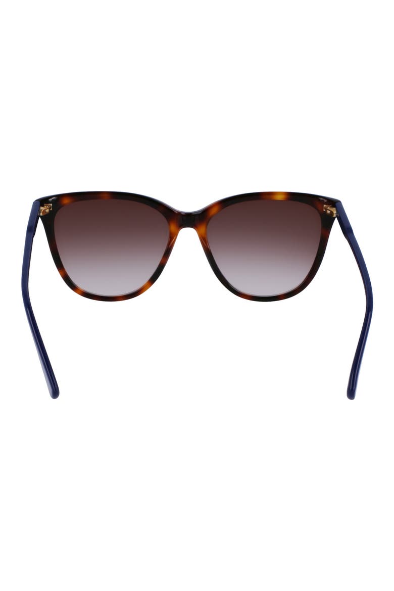 Le Pliage 56mm Gradient Tea Cup Sunglasses, Alternate, color, HAVANA
