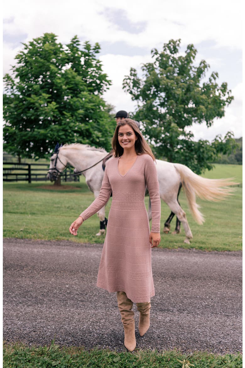 Heidi Mixed Stitch Long Sleeve Sweater Dress, Alternate, color, BLUSH