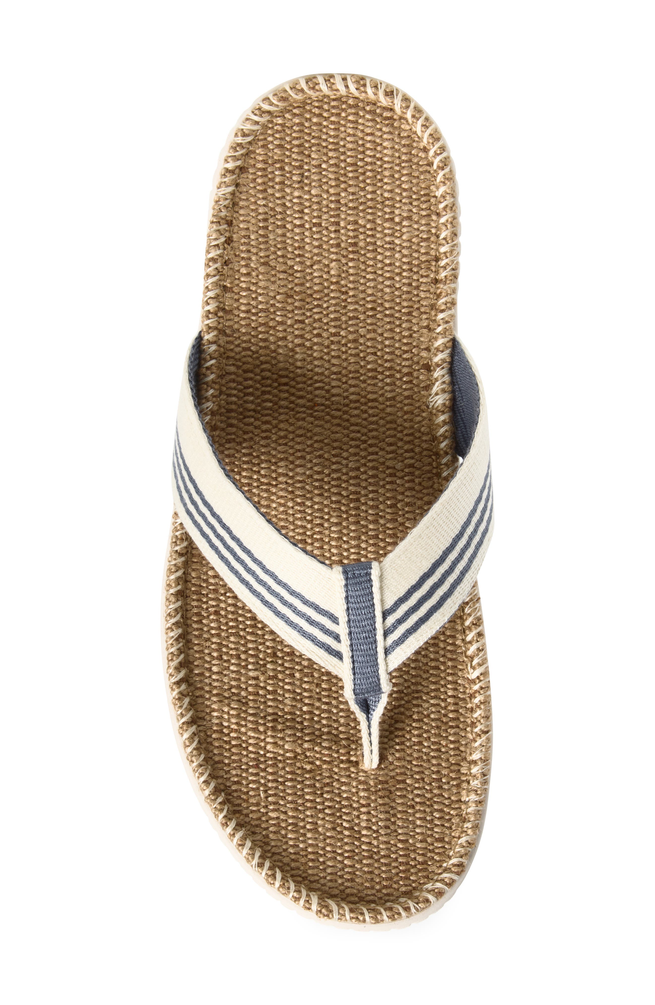 Delano Flip Flop, Alternate, color, BLUE