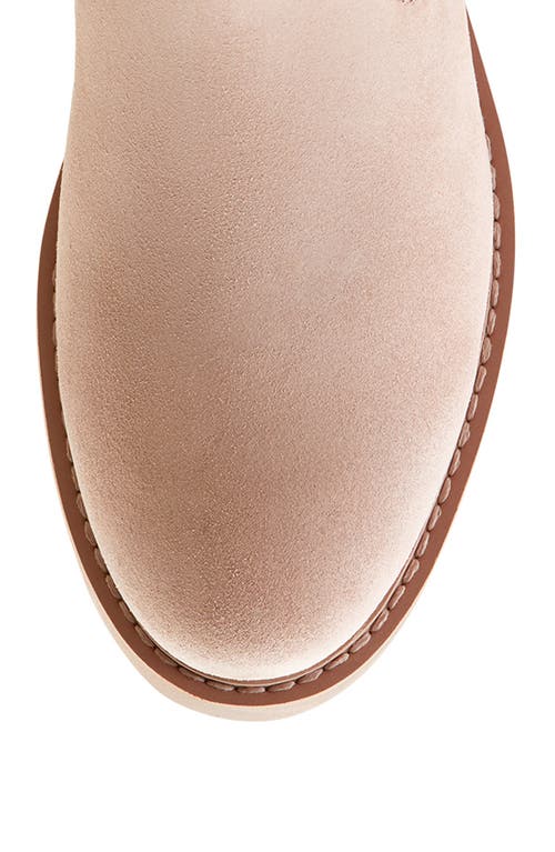 Ariat Wexford Chelsea Boot In Pink