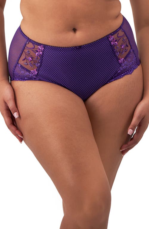 Elomi Charley Full Figure Briefs in Iris (Irs) 