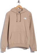 The North Face Evolution Boxy Graphic Hoodie