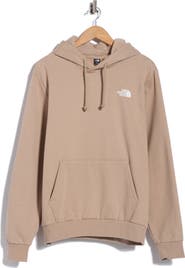 The North Face Evolution Boxy Graphic Hoodie