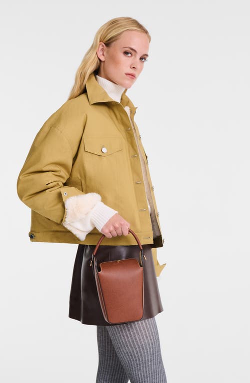 Longchamp 'epure' Brown Crossbody Bag With Adjustable And Removable Shoulder Strap And Embossed Logo On The Fr In Brown