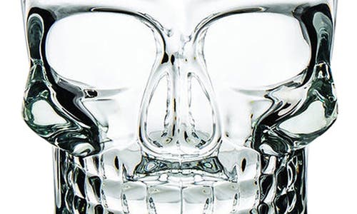 Godinger Skull Mug In Transparent