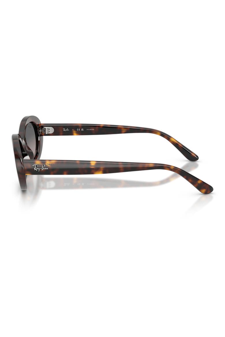 54mm Gradient Polarized Oval Sunglasses, Alternate, color, HAVANA / GREY GRADIENT POLAR
