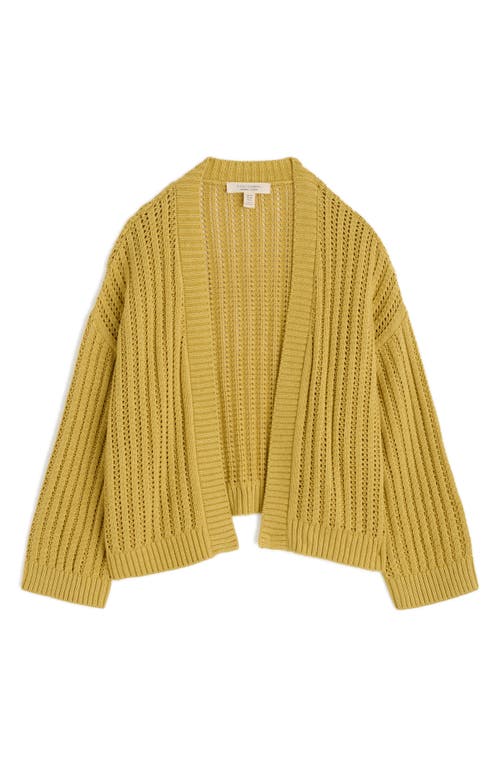 Seasalt Cornwall Tinners Way Cardigan