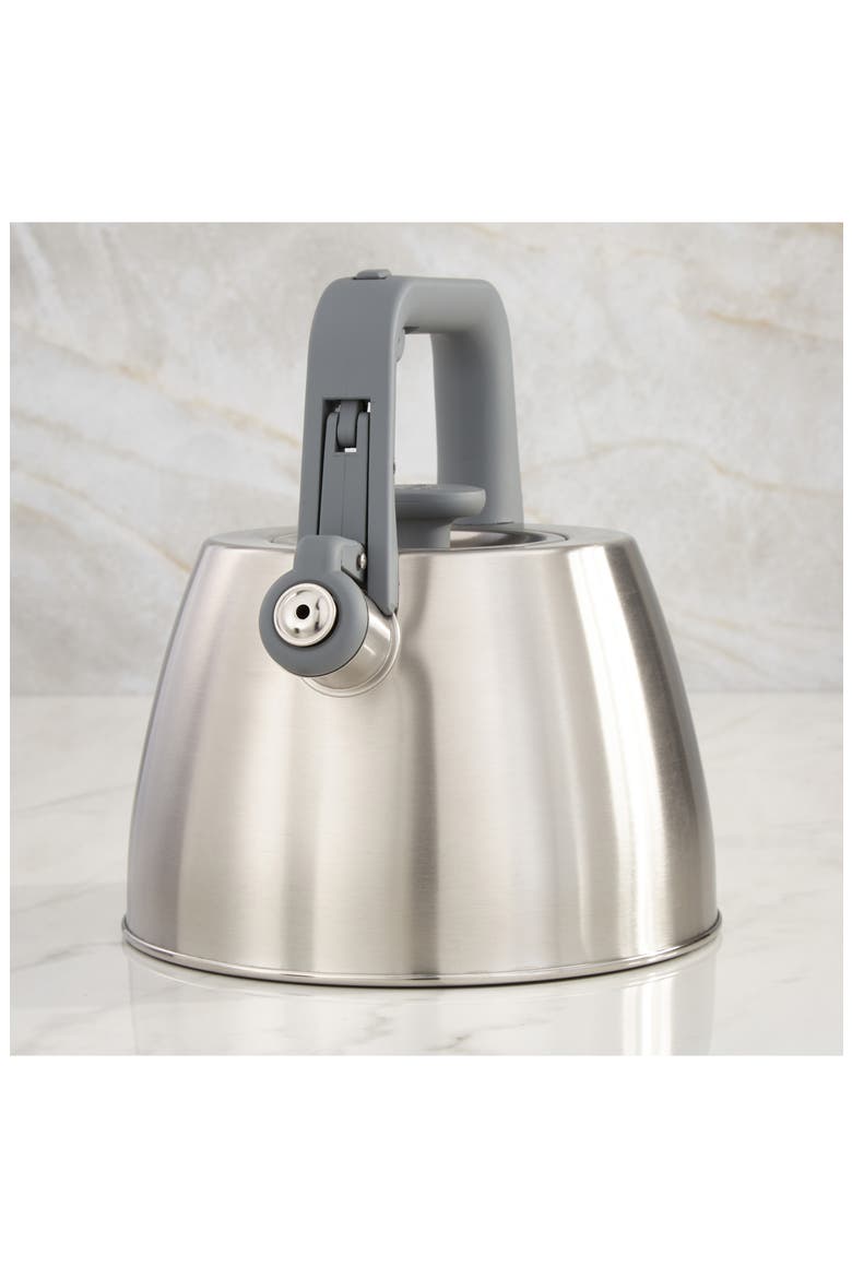 Leo Anthracite Stainless Steel Whistling Kettle, Alternate, color, GREY