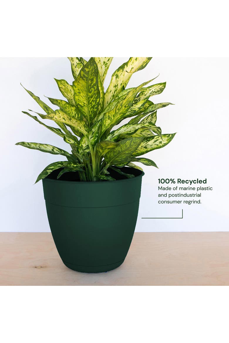 16 Inch Dayton Planter With Saucer, Turtle Green, Alternate, color, Green