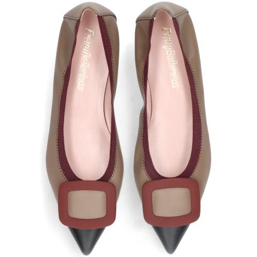 Pretty Ballerinas Pointed Toe Elasticated Ballet Flat In Brown