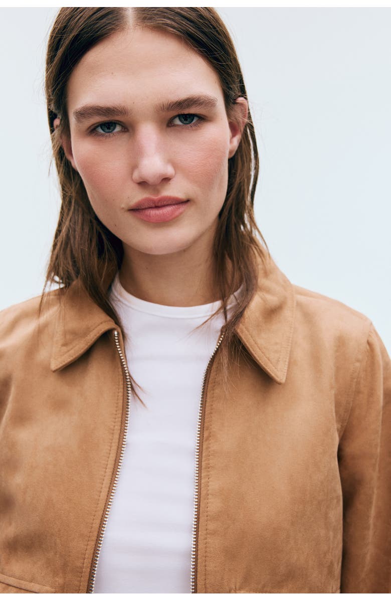 H&M Collared Bomber Jacket, Alternate, color, Dark Beige