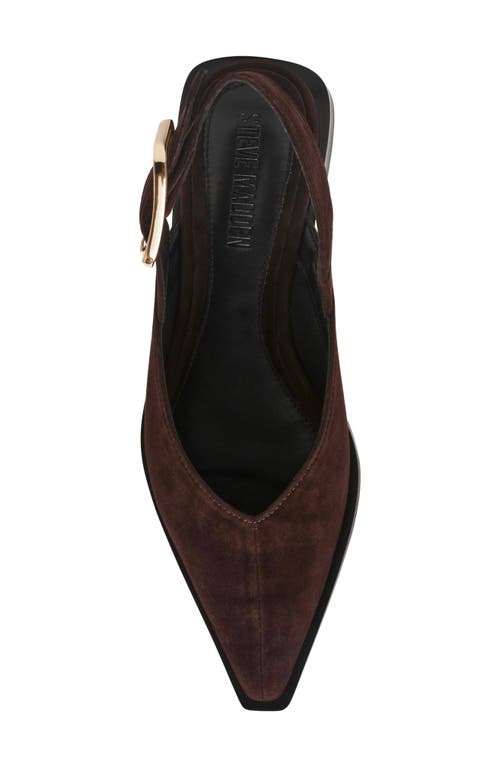 Steve Madden Shay Pointed Toe Slingback Flat In Burgundy