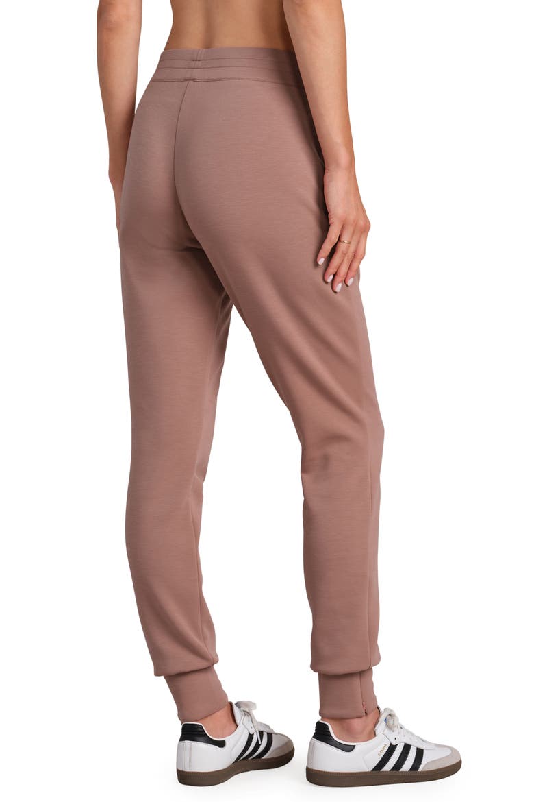Dreamglow Tapered Pants, Alternate, color, CLAY MIST