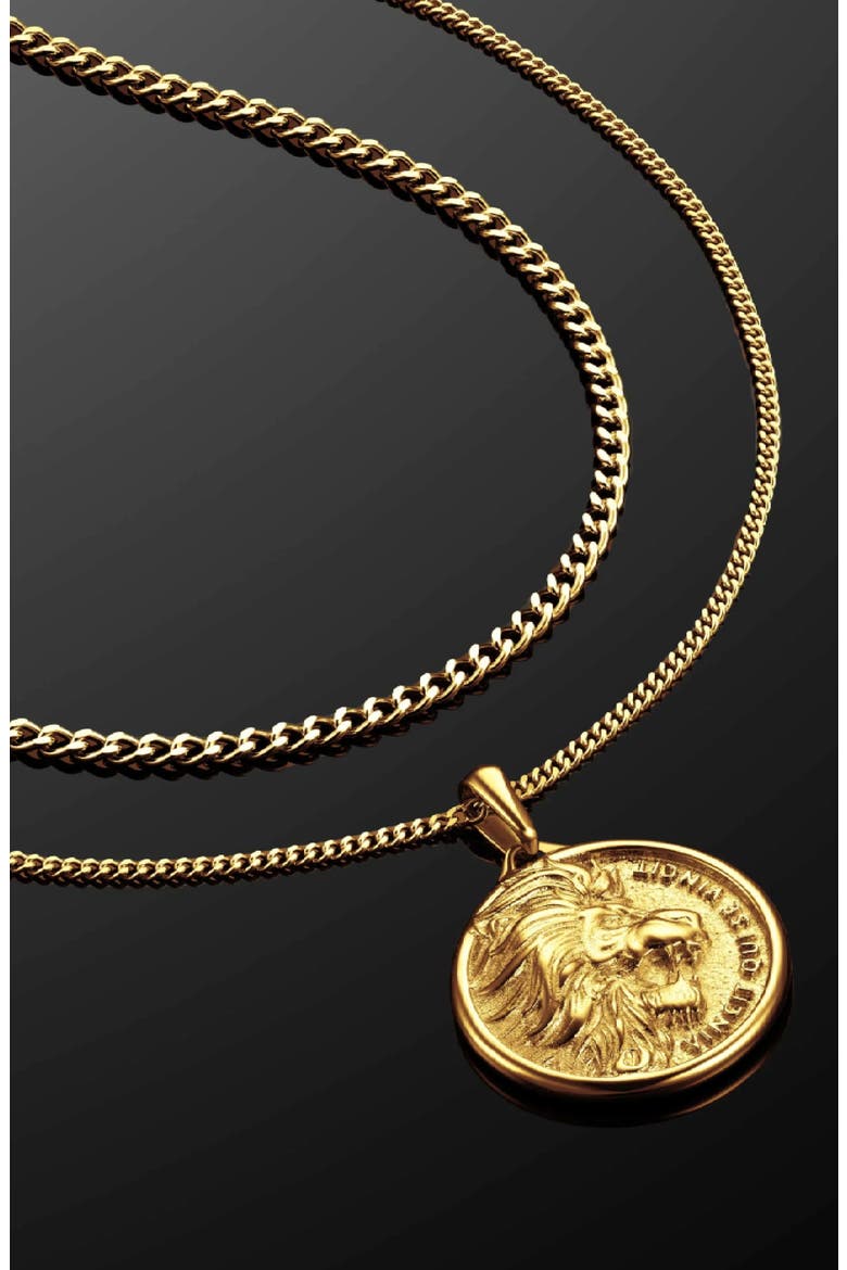 Men's Lion Pendant Necklace, Alternate, color, GOLD