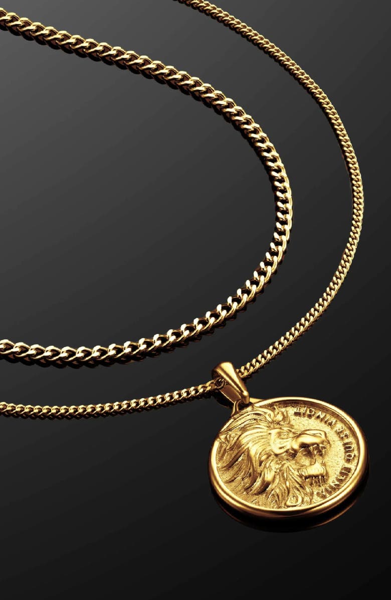 Vincero Men's Lion Pendant Necklace, Alternate, color, Gold