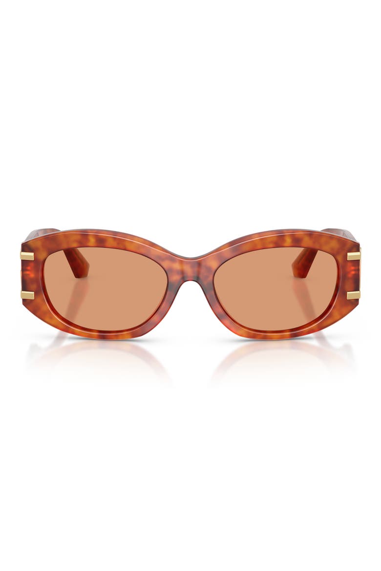 55mm Oval Sunglasses, Main, color, CAMEL HAVANA / ORANGE