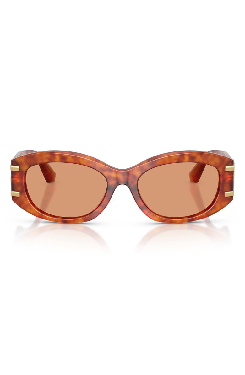 Dolce&Gabbana 55mm Oval Sunglasses, Main, color, Camel Havana / Orange
