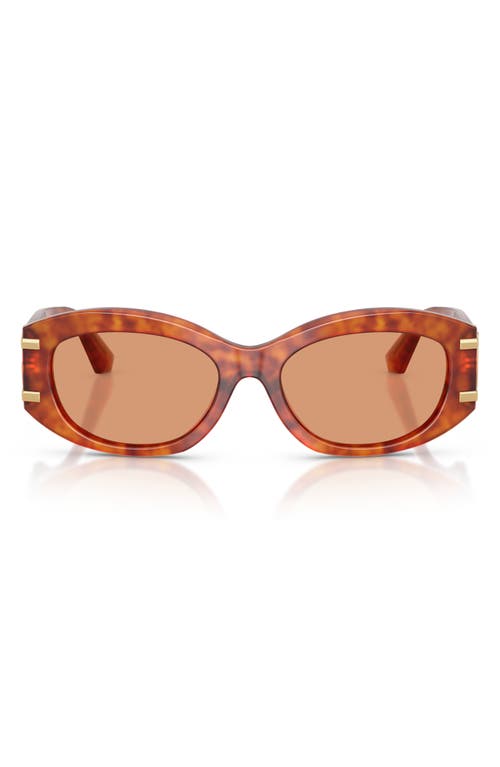Dolce & Gabbana Dolce&gabbana 55mm Oval Sunglasses In Multi