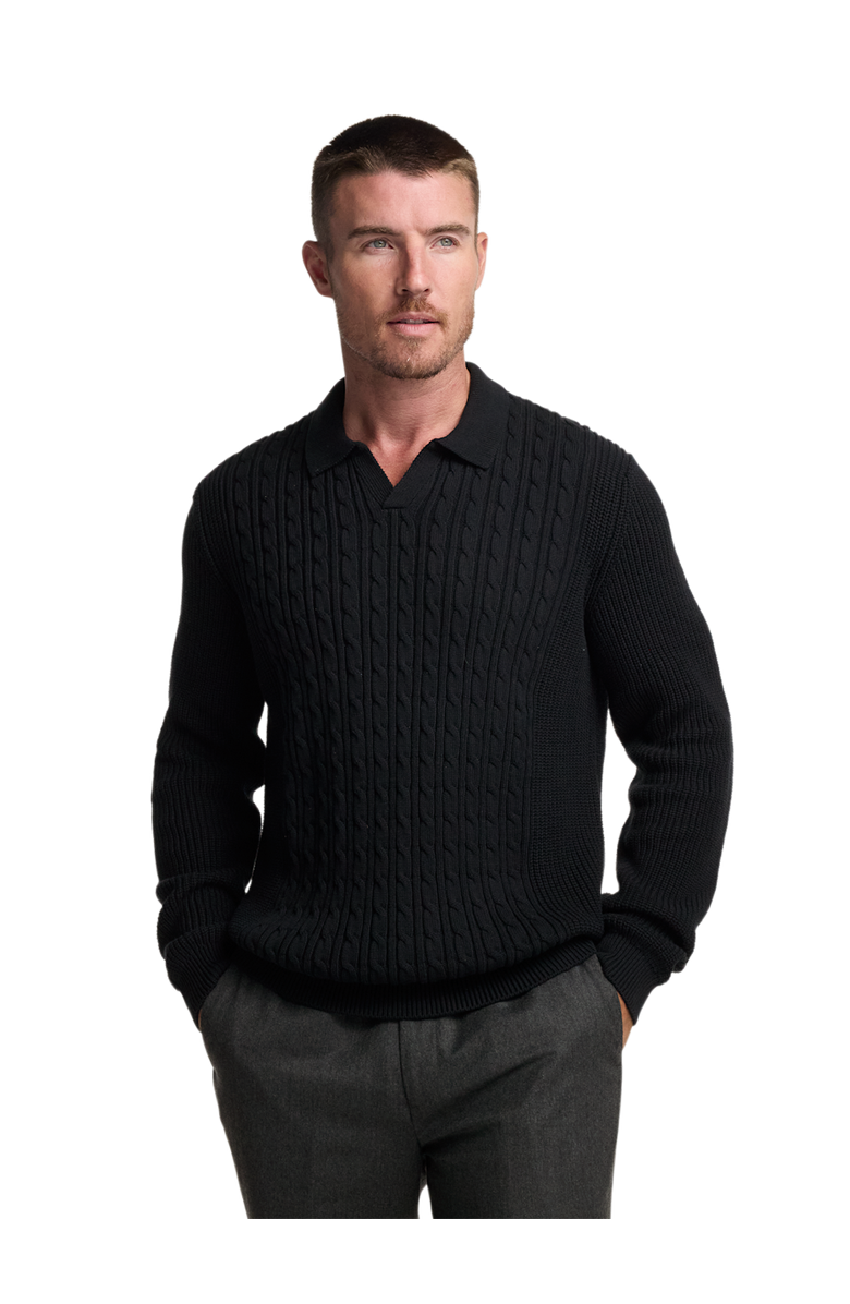 Paul Fredrick Cotton Cable V-neck Polo, Alternate, color, Black