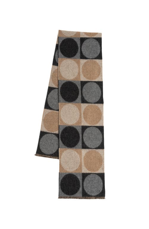 Echo Dotty Scarf In Brown