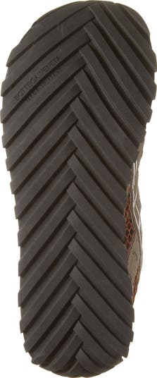 Orbit Low Top Sneaker
