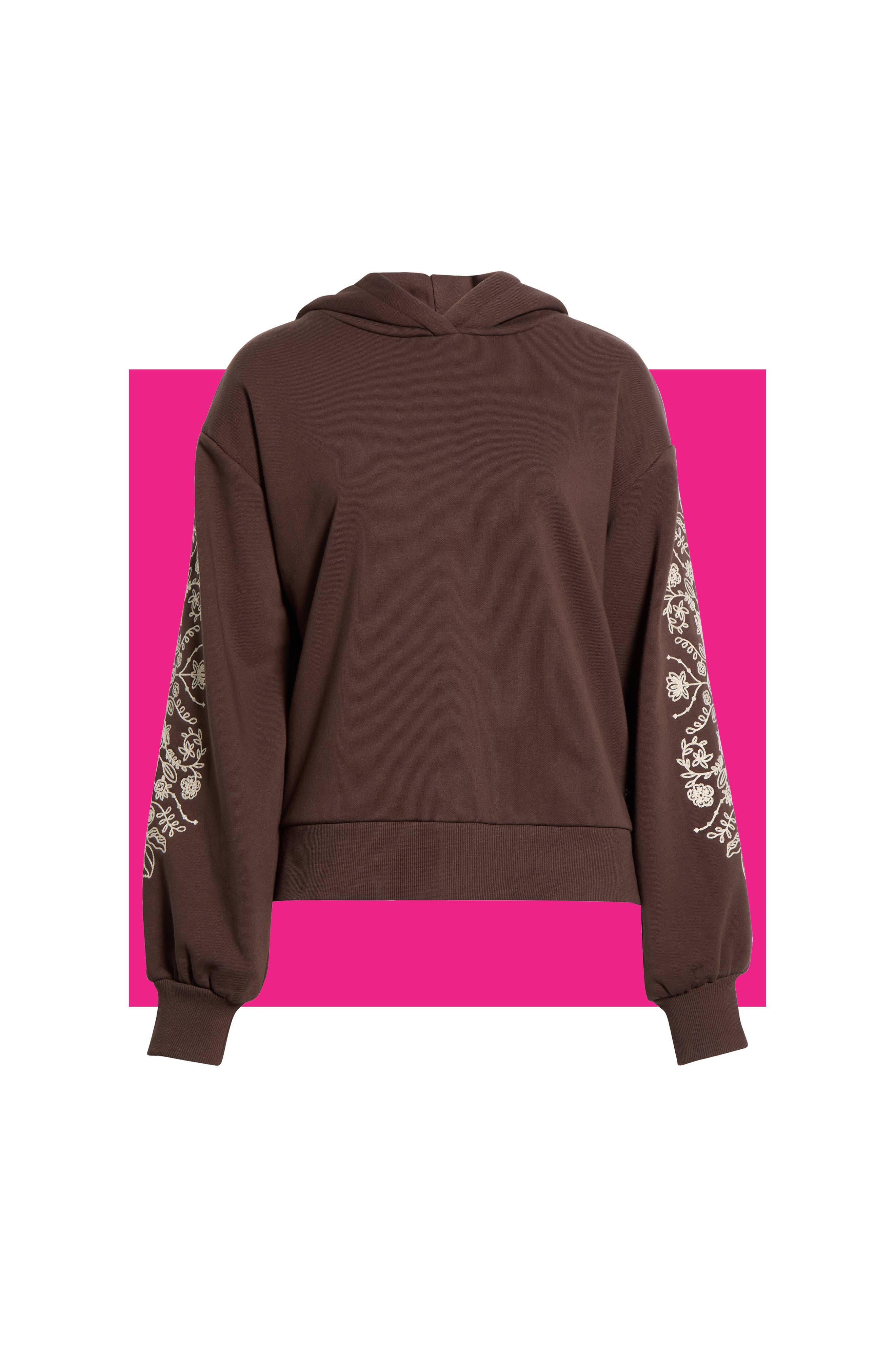 Embroidered Hooded Sweatshirt