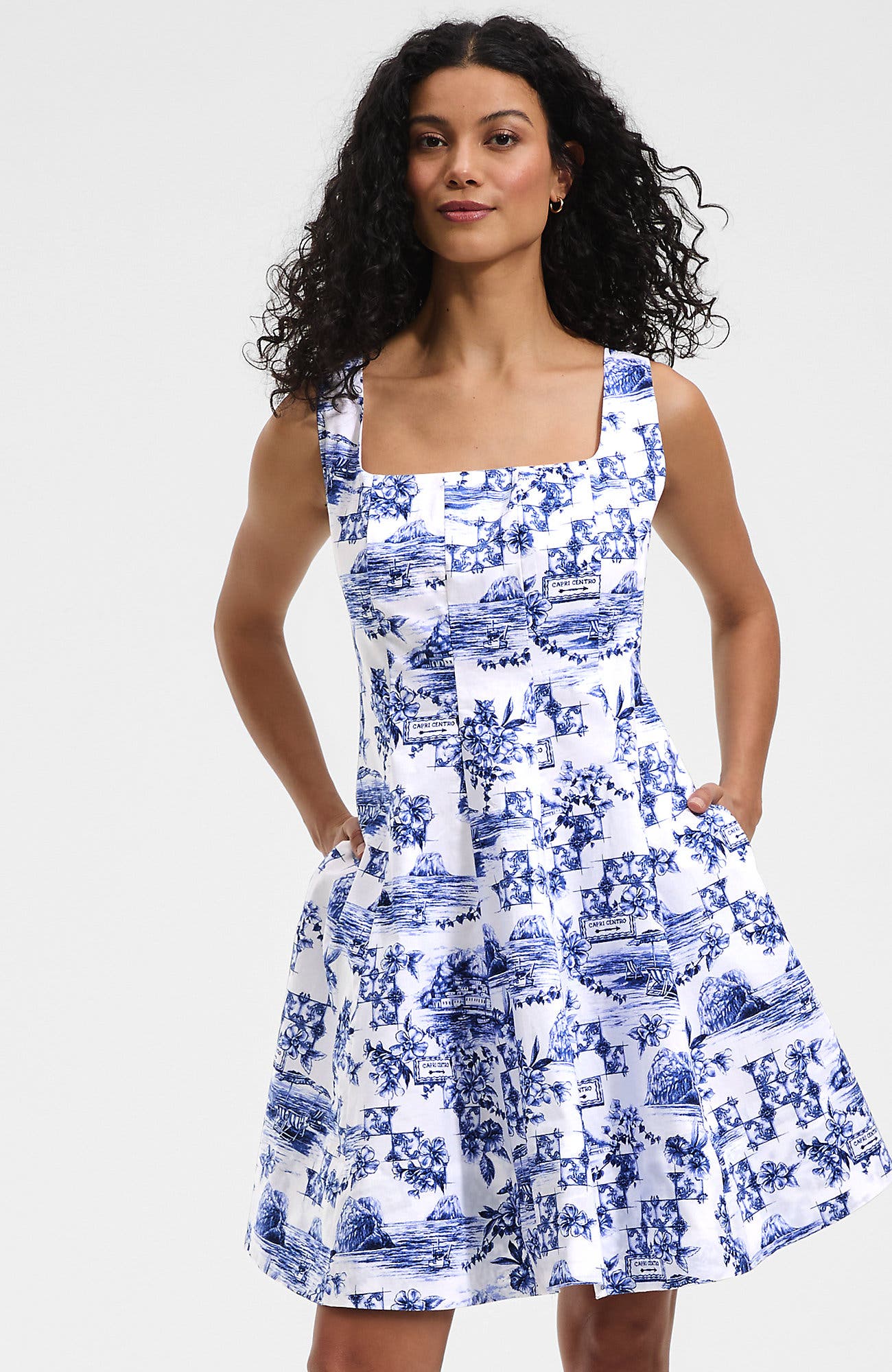 selected White/Blue Toile