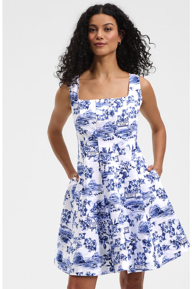 Princess Seam Poplin Above the Knee Dress, Main, color, White/Blue Toile