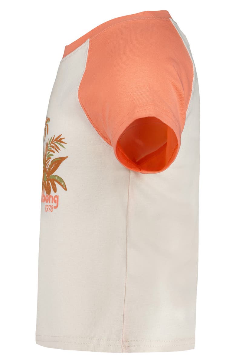 Billabong Kids' Retro Tropics Colorblock Cotton Graphic T-Shirt, Alternate, color, Desert Flower