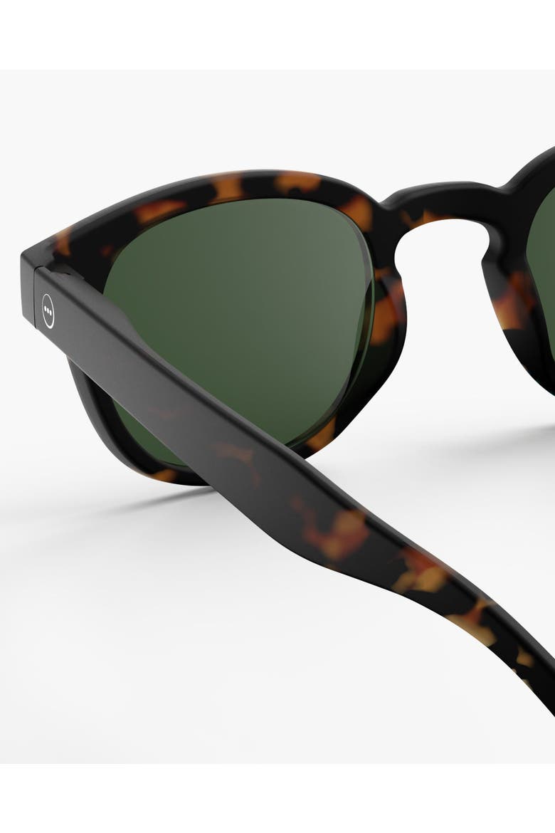 #C Tortoise, Alternate, color, Tortoise